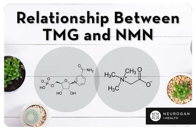 Guía de combinación de TMG y NMN