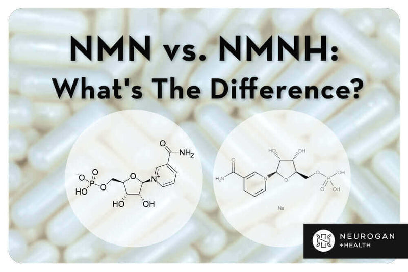 NMN vs. NMNH: ¿Cuál es la diferencia?
