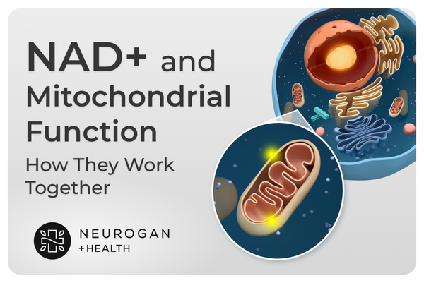 Hero image for a NAD+ and mitochondrial function article, showing a 3D-rendered cell with a zoomed-in inset of a mitochondrion, alongside the title 'NAD+ and Mitochondrial Function: How They Work Together' and the Neurogan Health logo