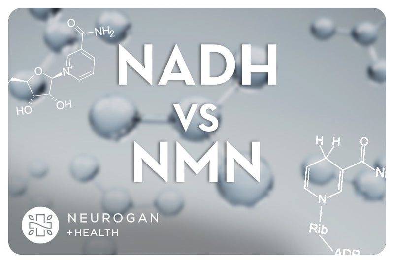 NADH vs. NMN