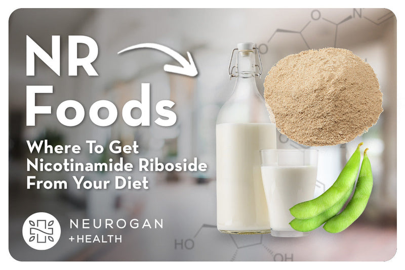 NR Foods: ¿Dónde obtener nicotinamida ribósido de su dieta?