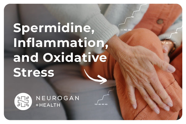 Close-up of an older adult’s hands resting on their knee with text “Spermidine, Inflammation, and Oxidative Stress” and Neurogan + Health logo.