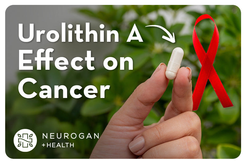 Urolithin A Effect on Cancer