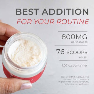 Open jar of Urolithin A Powder showing fine texture, 800mg per 2 scoops, 76 scoops per jar.
