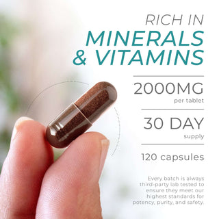 Hand holding Sea Moss capsule with 2000mg dosage and label highlighting minerals and 30-day supply.