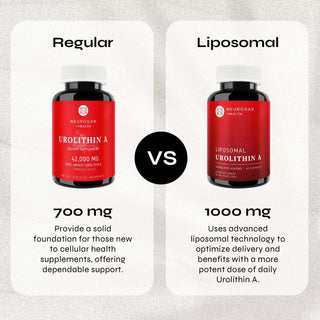 Comparison of regular vs. liposomal Urolithin A, showing 700 mg vs. 1000 mg for optimized delivery and cellular health support.
