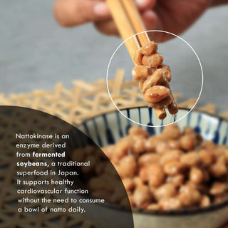 Close-up of fermented soybeans used to produce nattokinase, a traditional Japanese superfood.