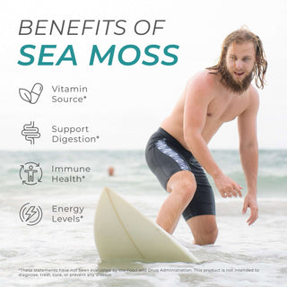 Man surfing with listed sea moss benefits: digestion, immune support, energy, and vitamins.
