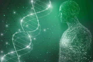 Digital silhouette of a human with DNA strands, symbolizing genetics and biotechnology advancements.