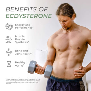 Man lifting dumbbells with Ecdysterone benefits listed: energy, muscle, bone, and aging support.