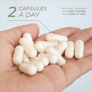 Hand holding vegan Ecdysterone capsules, suggested dosage is 2 capsules per day.