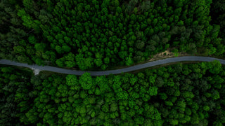 Aerial view of a winding road through a dense forest, surrounded by lush green trees.
