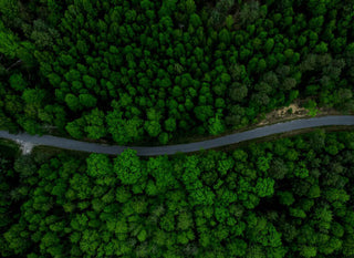 Aerial view of a winding road surrounded by lush green trees in a dense forest.