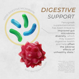 Illustration of gut microbiota diversity showing digestive support benefits from fenugreek use.