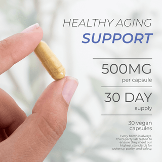 Fisetin Capsules for healthy aging support, 500mg per capsule, 30-day supply, vegan-friendly.