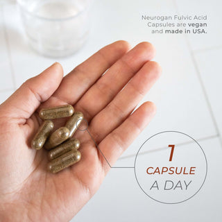 Hand holding several brown vegan capsules with text suggesting one Fulvic Acid capsule per day.