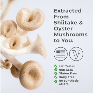 Close-up of Shiitake and Oyster mushrooms with labels: Lab Tested, Non-GMO, Gluten-Free, Dairy-Free, No Synthetic Colors.