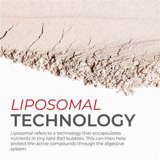 Close-up of liposomal technology, highlighting nutrient encapsulation in lipid bubbles for better digestion.