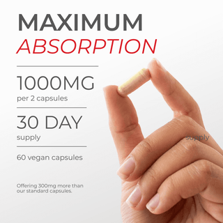 Hand holding a liposomal Urolithin A capsule emphasizing maximum absorption and dosage details.