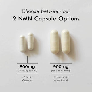 Image showing two dosage options for Neurogan NMN capsules: 500mg small capsules and 900mg larger capsules per daily serving option