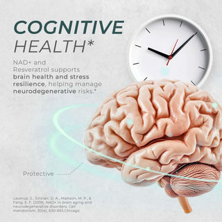 Close-up of a brain with a clock in the background, highlighting cognitive benefits of NAD+ and Resveratrol.