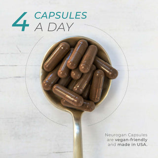 Four capsules a day dosage shown with a spoonful of Neurogan Sea Moss Capsules.