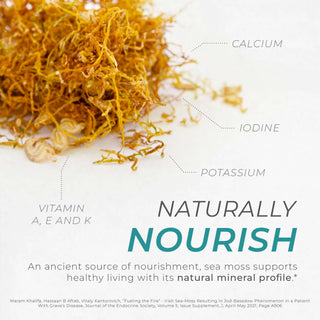 Dried sea moss on white background with calcium, iodine, potassium, and vitamin A, E, K callouts.