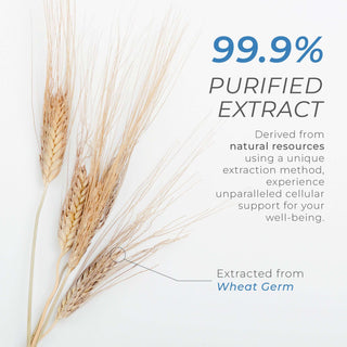 99.9% purified extract from natural resources, showcasing wheat germ for cellular support and well-being.