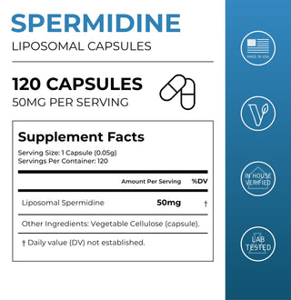 Cápsulas de espermidina liposomal