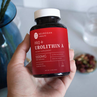 Hand holding a red bottle of Neurogan Health Urolithin A dietary supplement, 1000mg, 120 capsules.