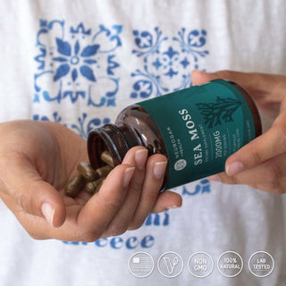 Sea Moss Capsules being poured into hand with icons for non-GMO, vegan, and lab-tested.