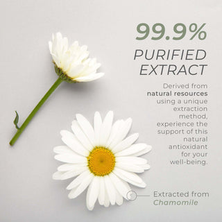 Chamomile flowers next to text highlighting 99.9% purified Apigenin extract and its natural antioxidant origin.