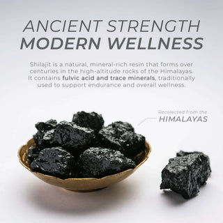 Bowl of raw black Himalayan Shilajit resin chunks with wellness benefits text above on a white background