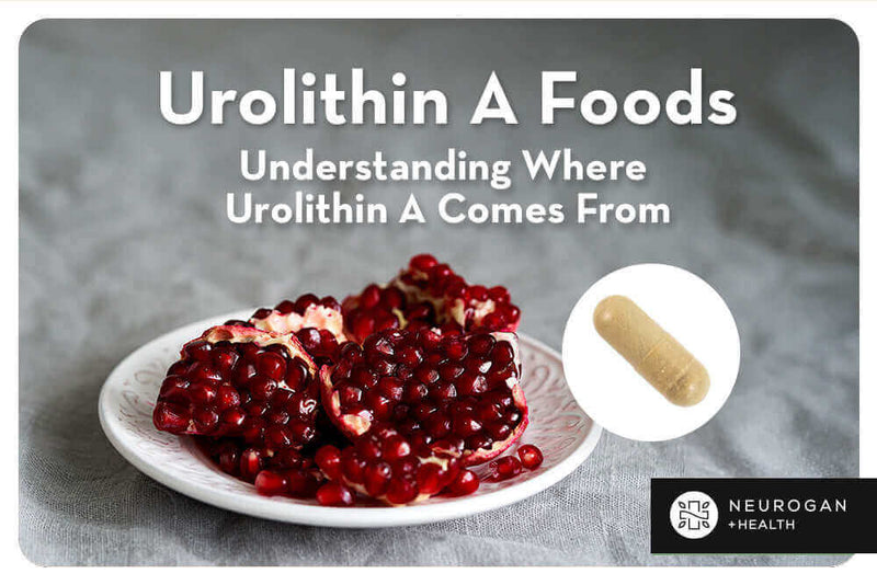 Alimentos con urolitina A: de dónde proviene la urolitina A