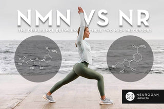 Woman demonstrating yoga pose with NMN vs NR chemical structures, highlighting differences in NAD+ precursors.