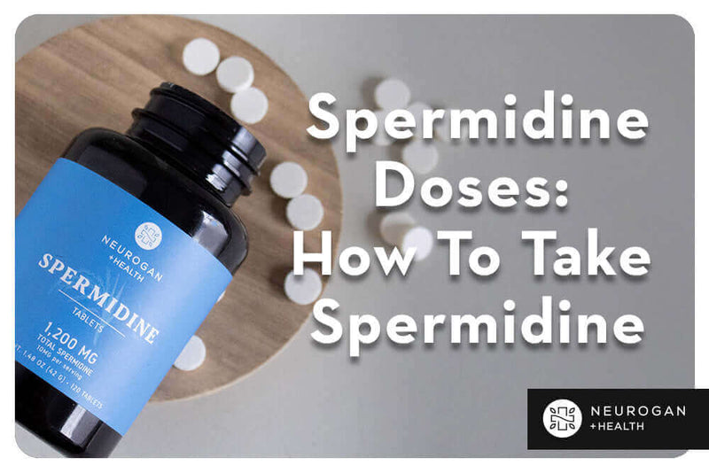 Dosis de espermidina | ¿Cuánta espermidina tomar al día?