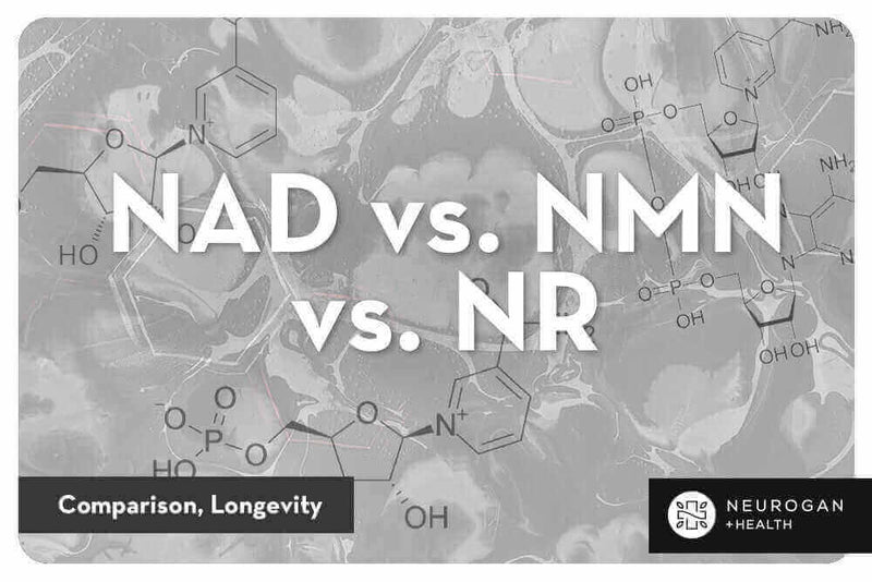 NAD vs. NMN vs. NR | Comparison, Longevity