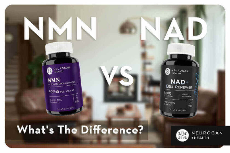 NMN vs NAD+: What's the Difference?