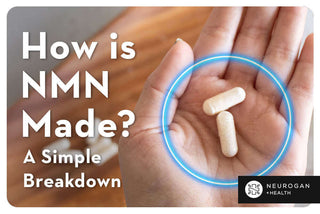 Holding NMN capsules in the palm of hand. Text: How is NMN Made? A Simple Breakdown