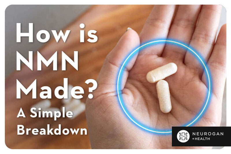 How is NMN Made? A Simple Breakdown