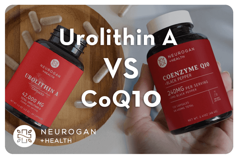 Urolitina A vs. CoQ10