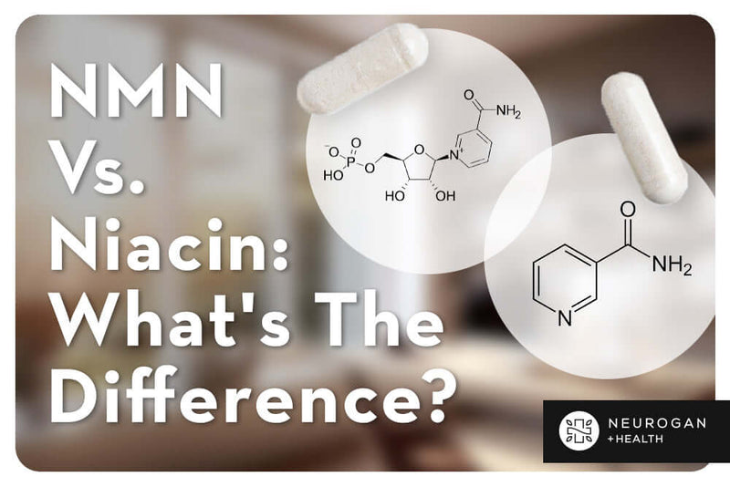 NMN vs. Niacina: ¿Cuál es la diferencia?