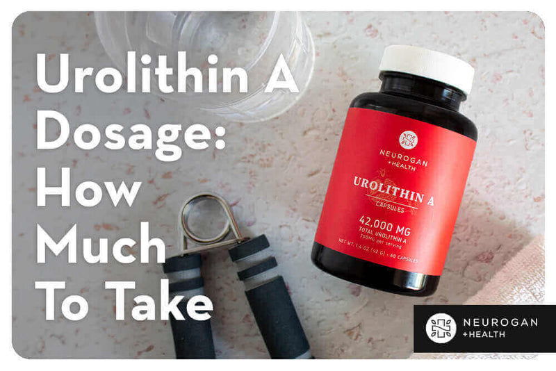 Urolithin A Dosage: How Much To Take