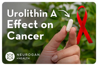 Holding a Urolithin A Capsule next to a cancer ribbon. Text: Urolithin A Effect on Cancer