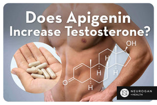 A muscular male torso and apigenin capsules. Text: Does Apigenin Increase Testosterone? 