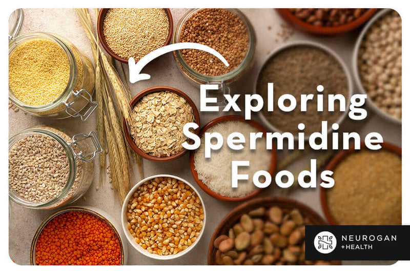 Spermidine Foods | Natural Sources of Foods in Spermidine