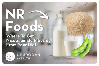 Milk and Soy beans as sources for Nicotinamide riboside. Text: NR Foods: Where to get NR From your Diet