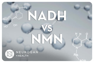 NADH vs NMN molecules