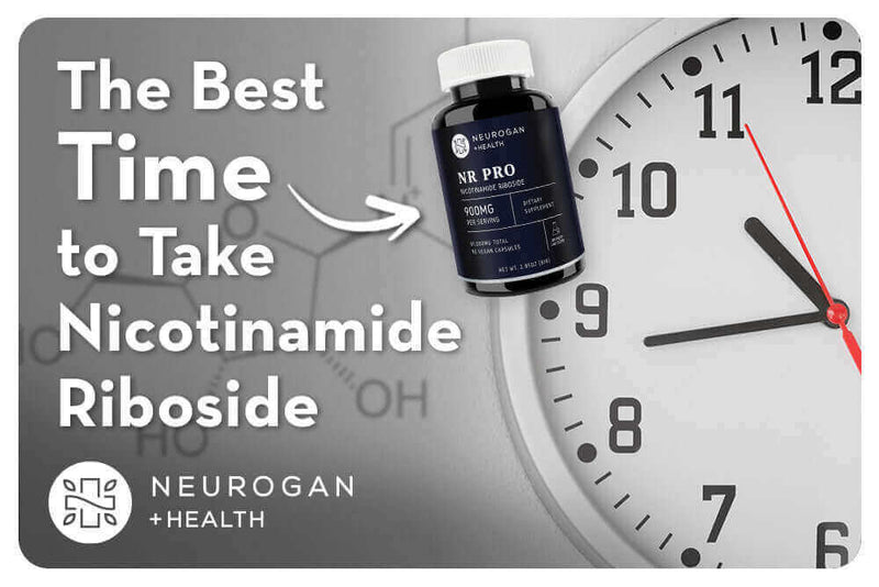 The Best Time to Take Nicotinamide Riboside