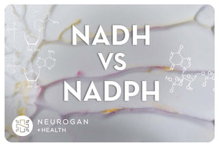 NADH vs NADPH: What’s The Difference? image featuring chemical structures and informative text.